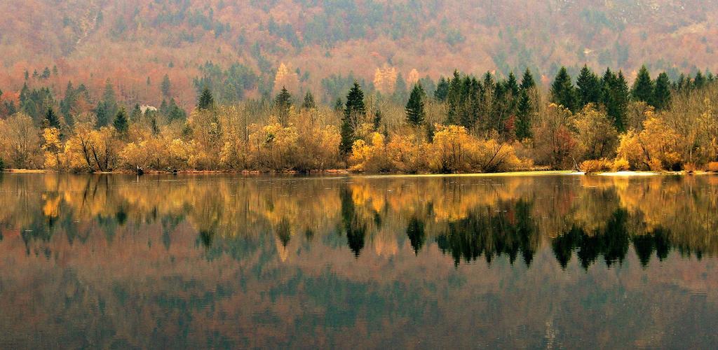 Apartmaji Pri Marodnu Бохінь Екстер'єр фото